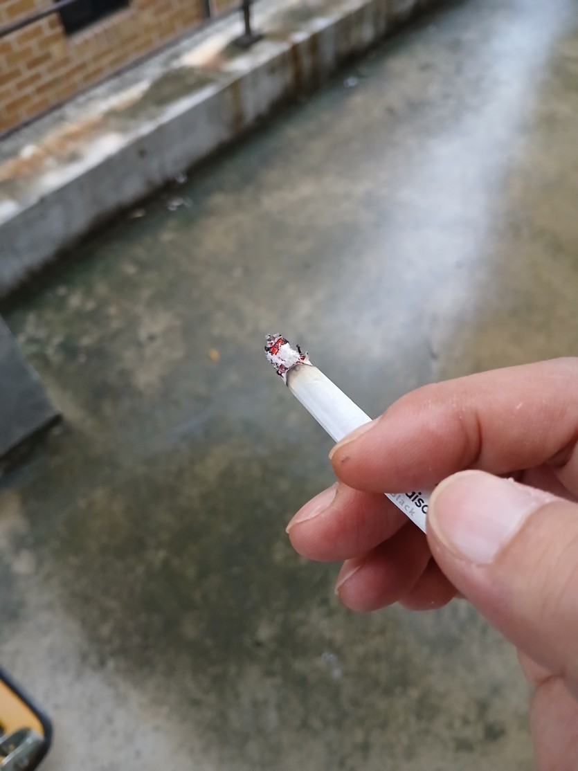 지금 바로 이겁니다(0)
