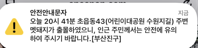 윗동네도 멧돼지 출몰하나요?(0)