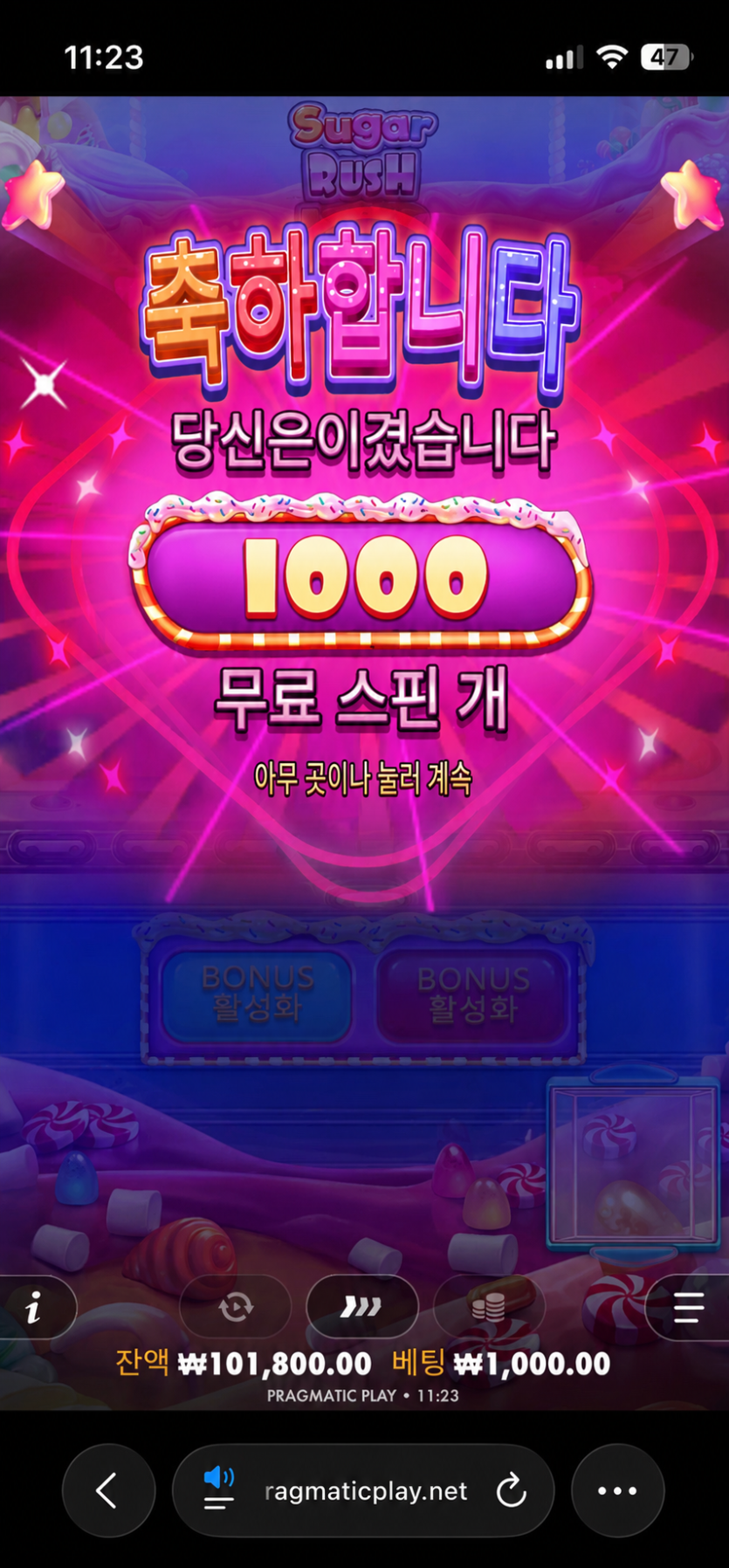 슈가1000 대박터졌네요 후..!!(1)