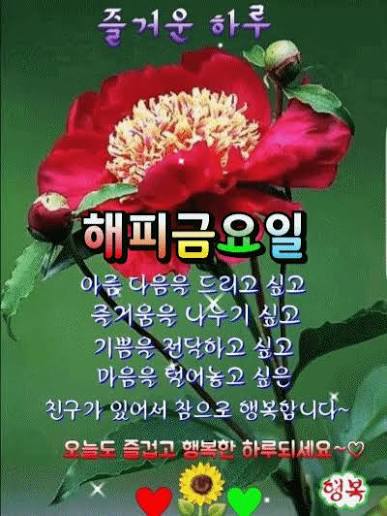 곧 불금입니다.(0)