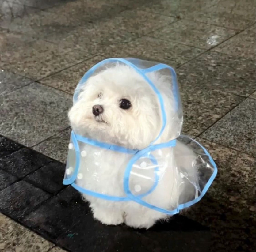 습하다 습해(0)