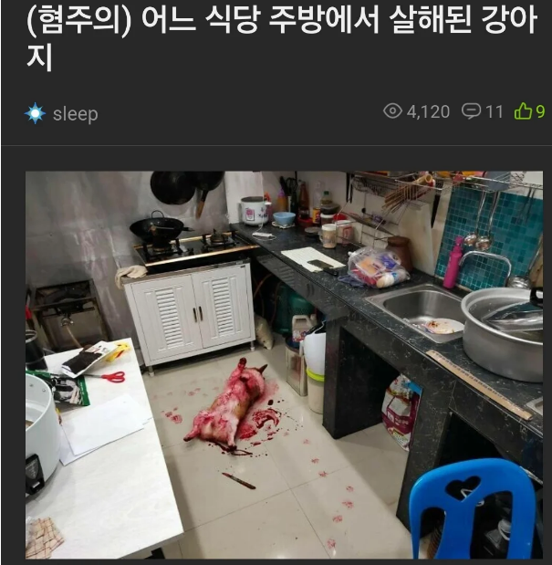 식당 주방에서 살해된 강아지(0)
