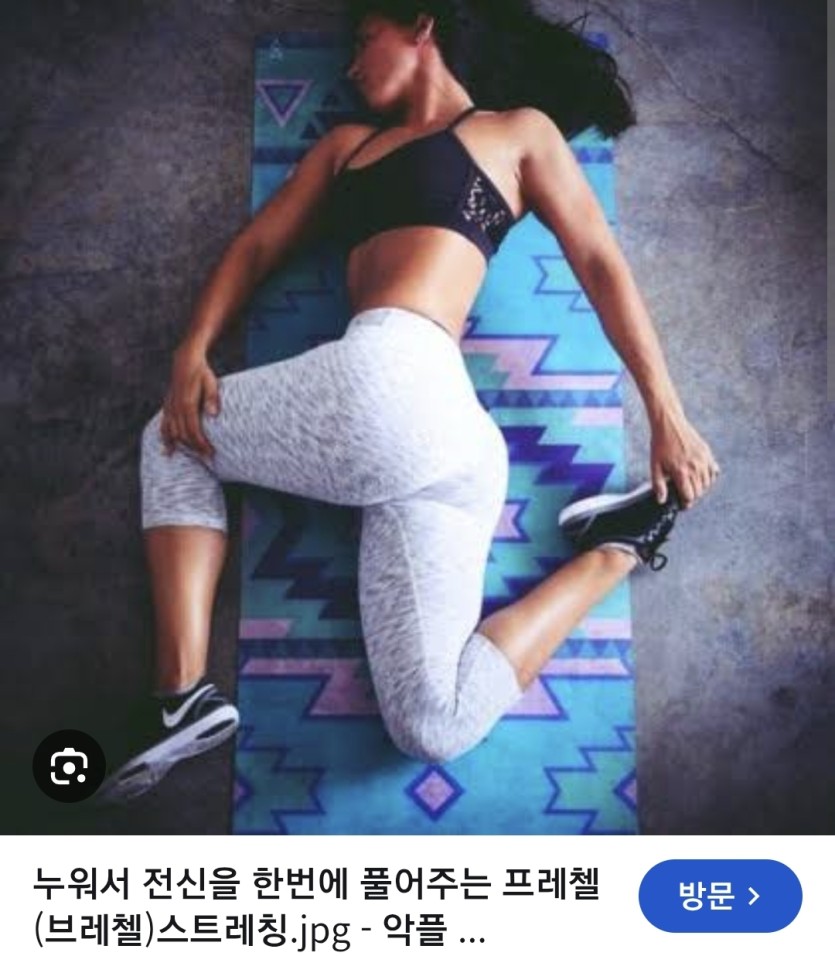 프레첼 스트레칭 조져줍니도(0)
