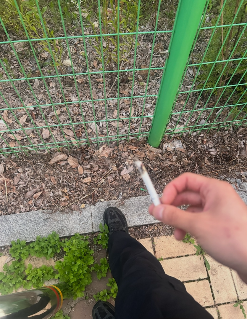 담배 피러 나왔습니다(0)