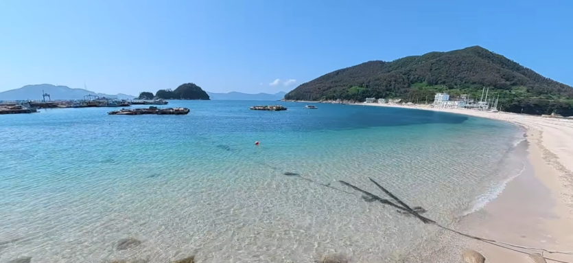 한국바다에도 이런색깔이 있군요(0)