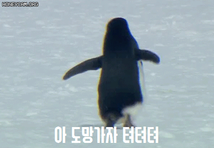 커피한잔 타왔습니다❤️(0)