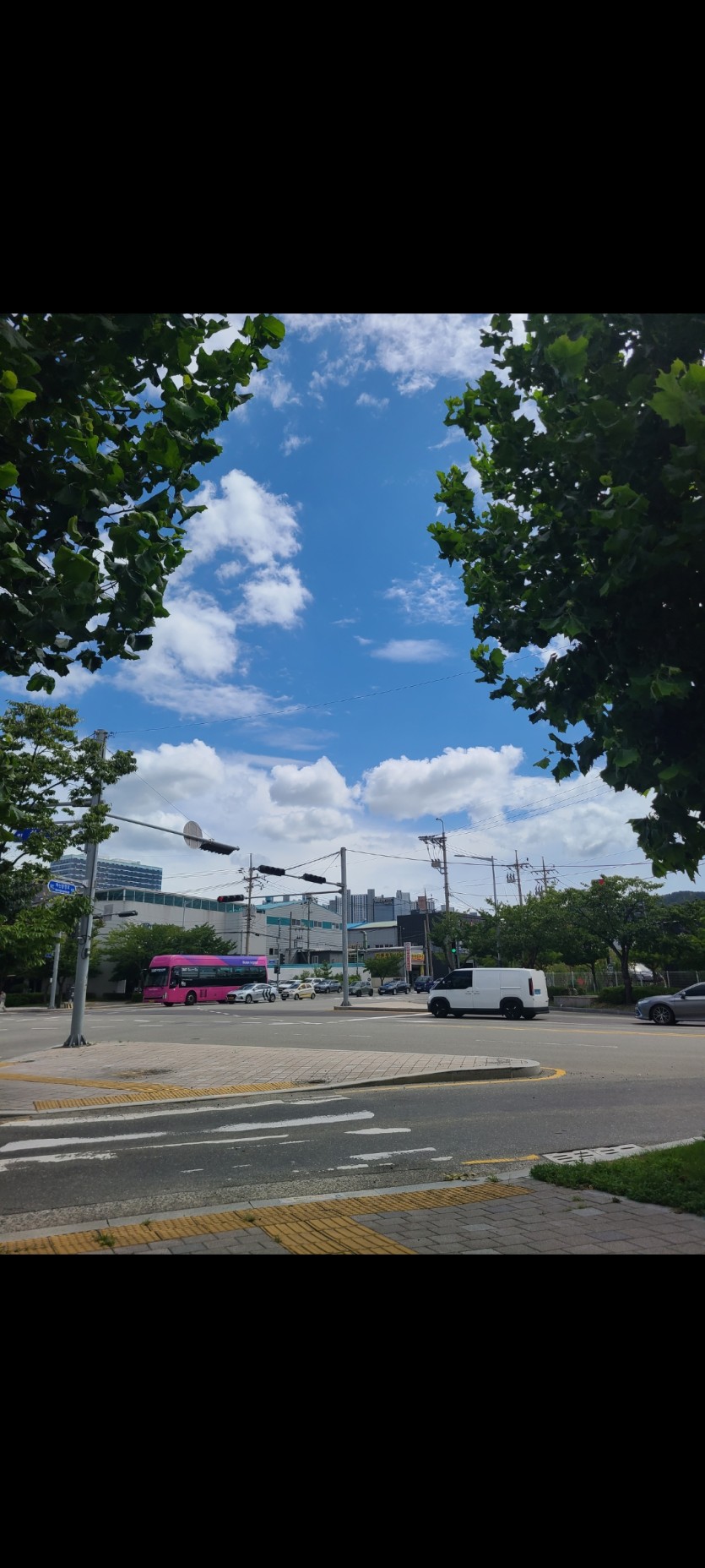 반차쓰고 병원가는길 ㅅㅅ(0)