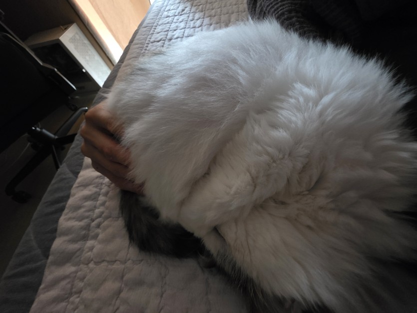 ㅈ같아서 ㄱㅇㅇ끌어안고 웁니다(0)