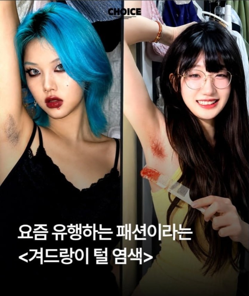 요즘 중국 유행(1)