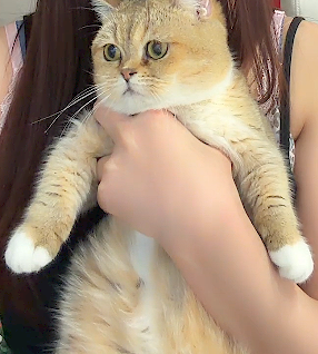 피의게임ㄷㄷㄷㄷ(1)