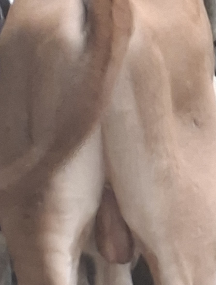 찬샤다녀옵니다.(0)
