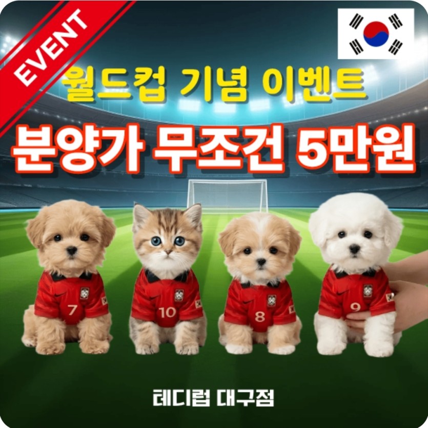 별게 다 이벤트네 ~~괜히  씁쓸(0)
