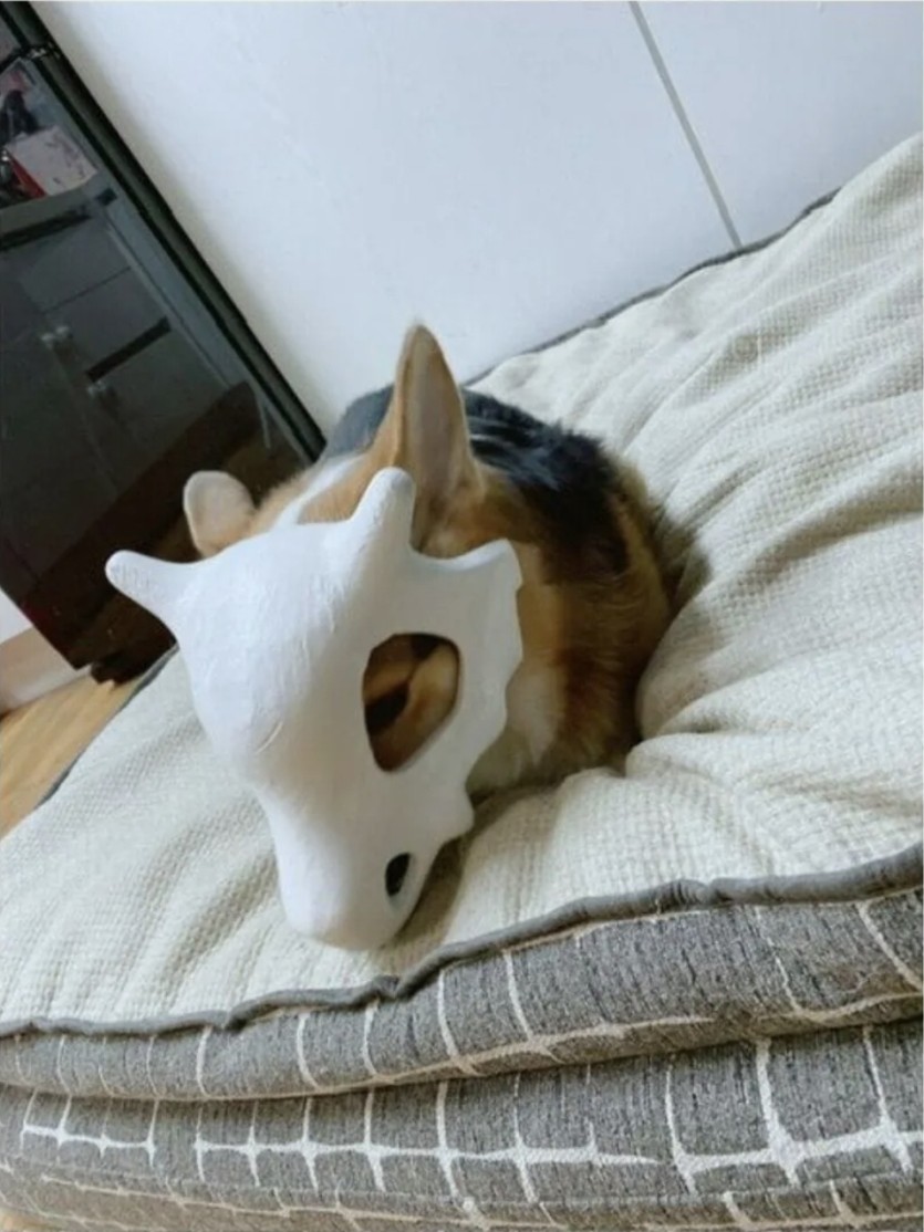 일복 꽝이군요(0)