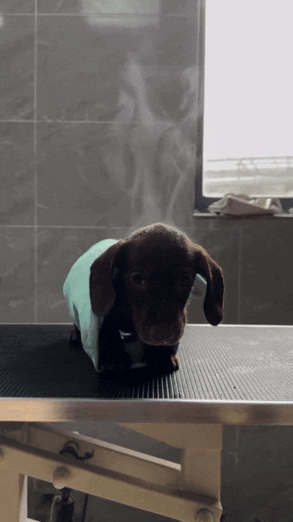고민 끝났습니다(0)