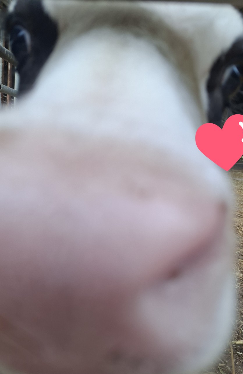 커피도핑합니다.(0)