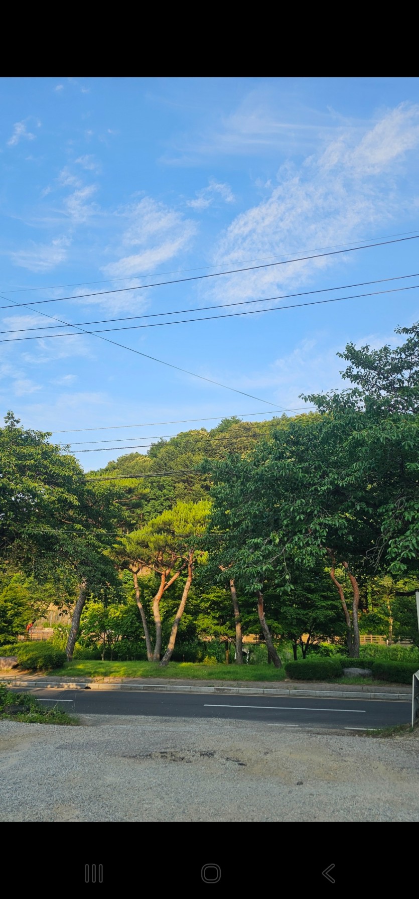 외식하러왔는데 하늘이(0)