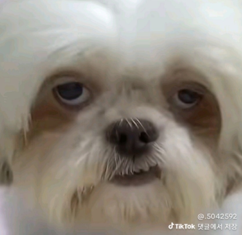 운동끝(0)