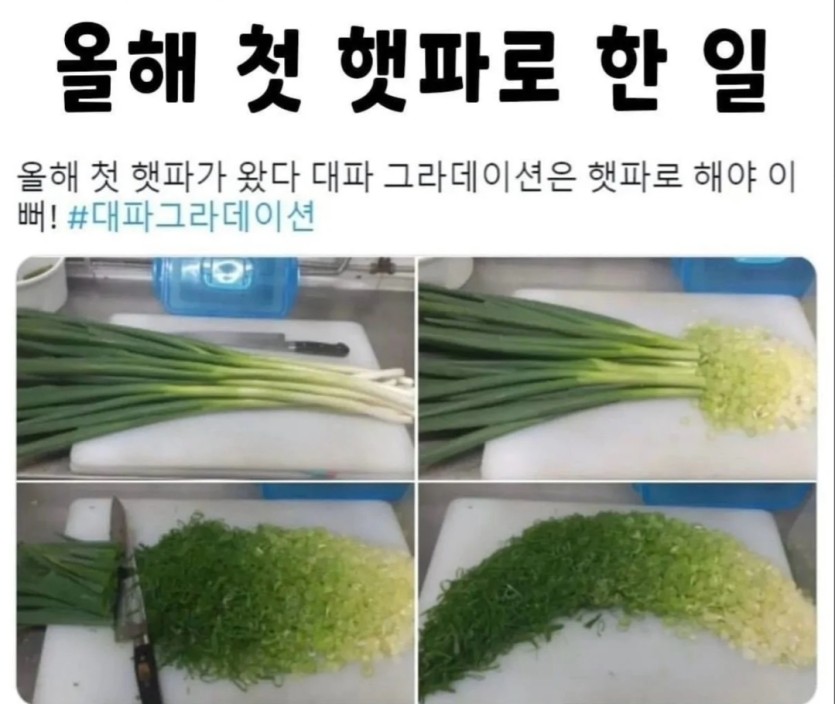 햇파 그라데이션(0)