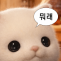 오늘 돈잃은게(0)