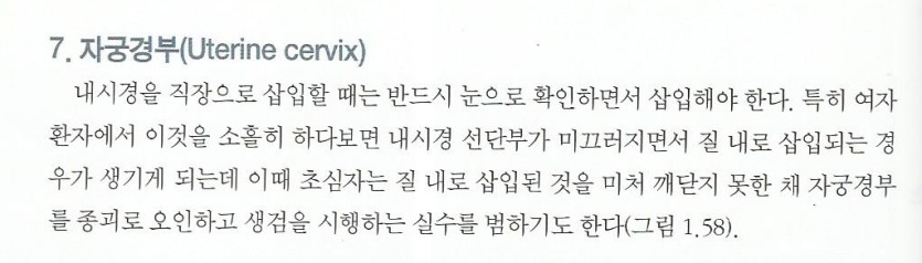 간호학과 여학생 대장 내시경 후기(1)