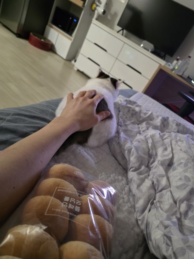 (0)
