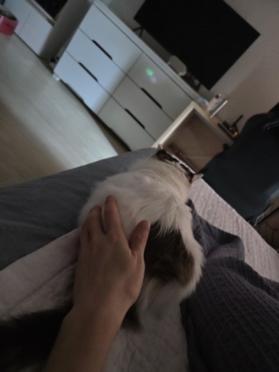 (0)