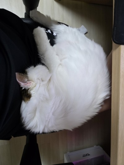 (0)
