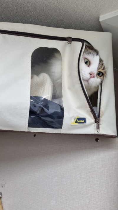 (0)