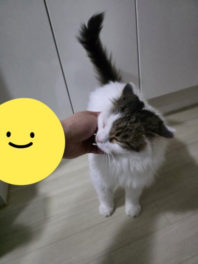 (0)