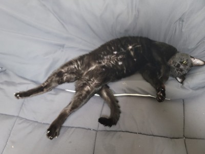 (0)