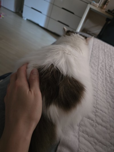 (0)