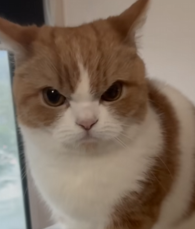 (0)
