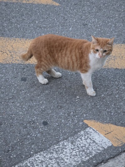 (0)