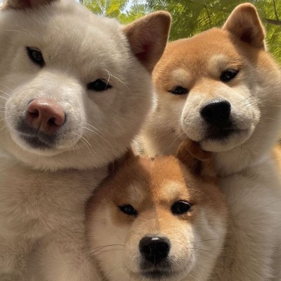 (0)