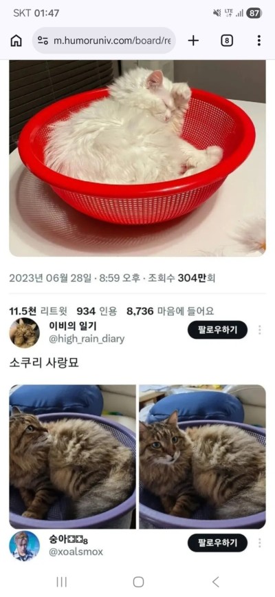 (0)
