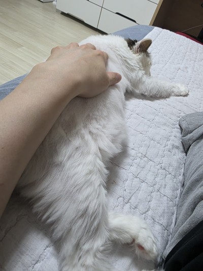 (0)