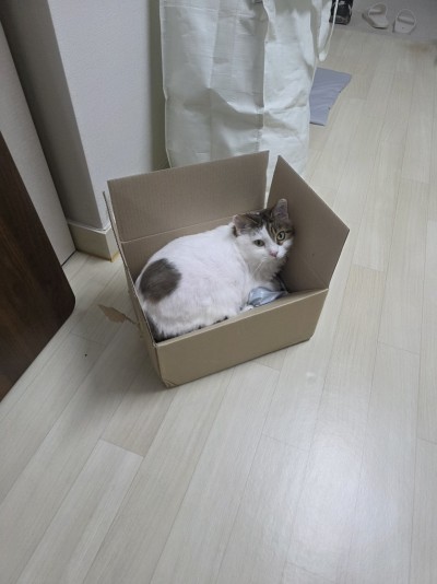 (0)