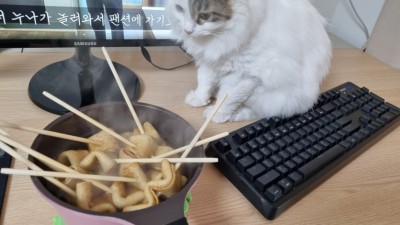 (0)