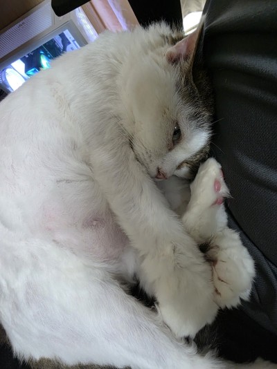 (0)