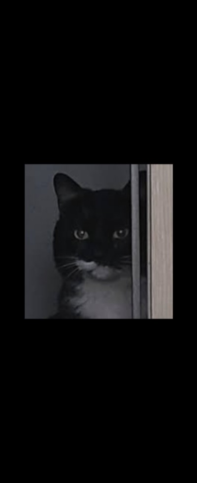 (0)
