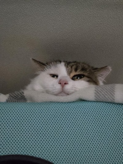 (0)