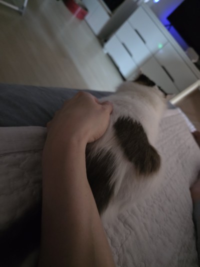 (0)