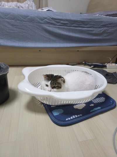 (0)