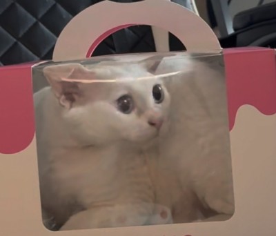(0)