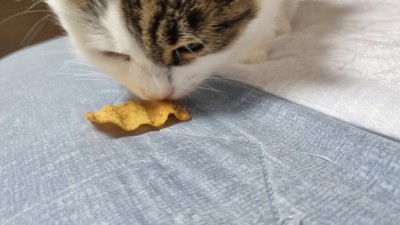 (0)
