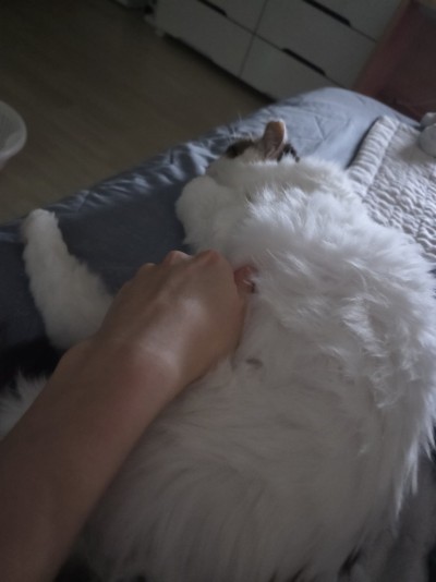 (0)
