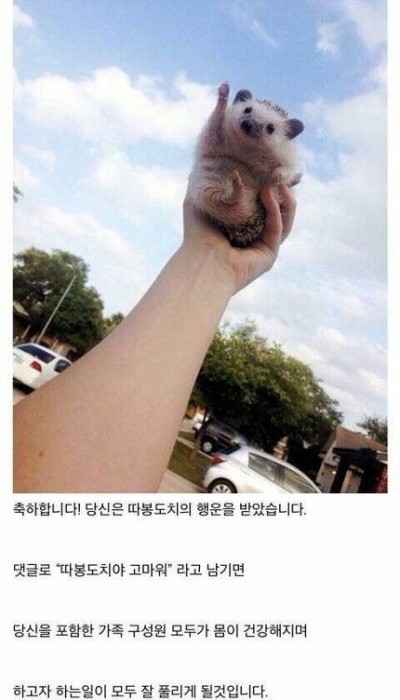 (0)
