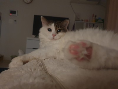 (0)
