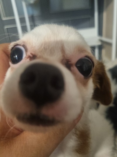 (0)