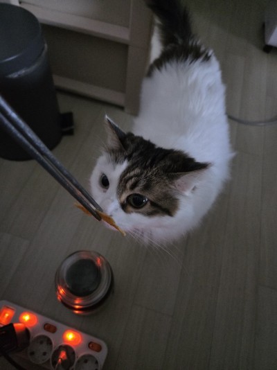 (0)